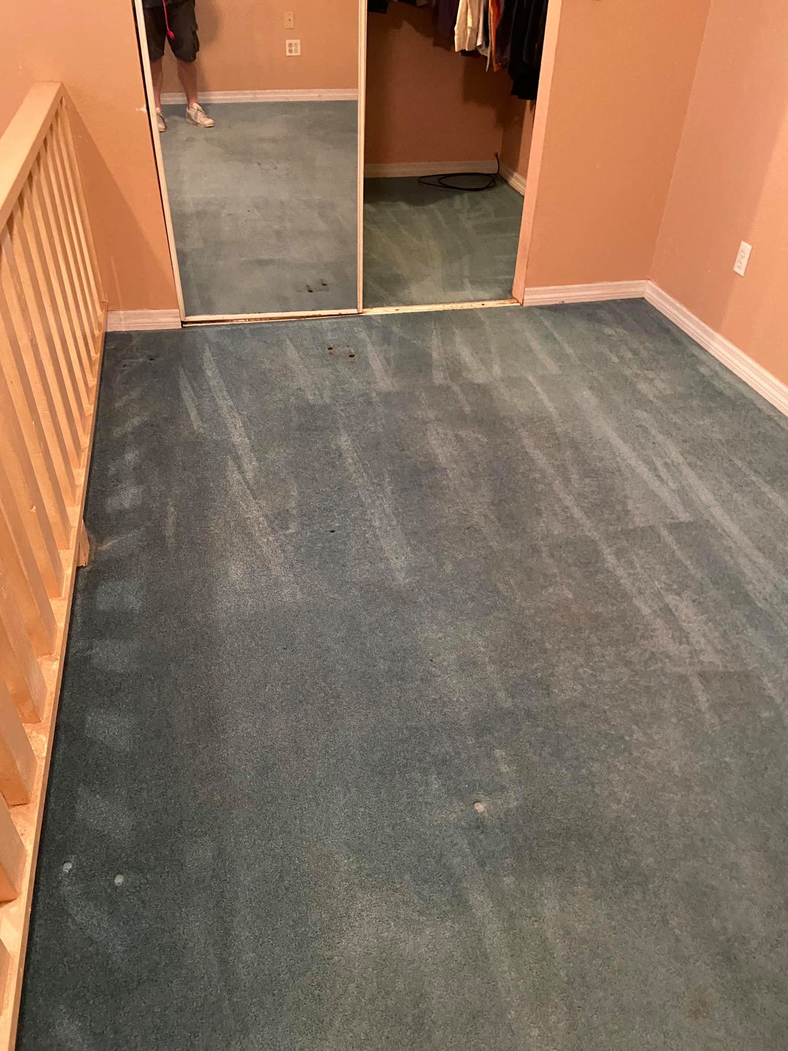 Siesta Key Florida Professional Carpet Cleaning