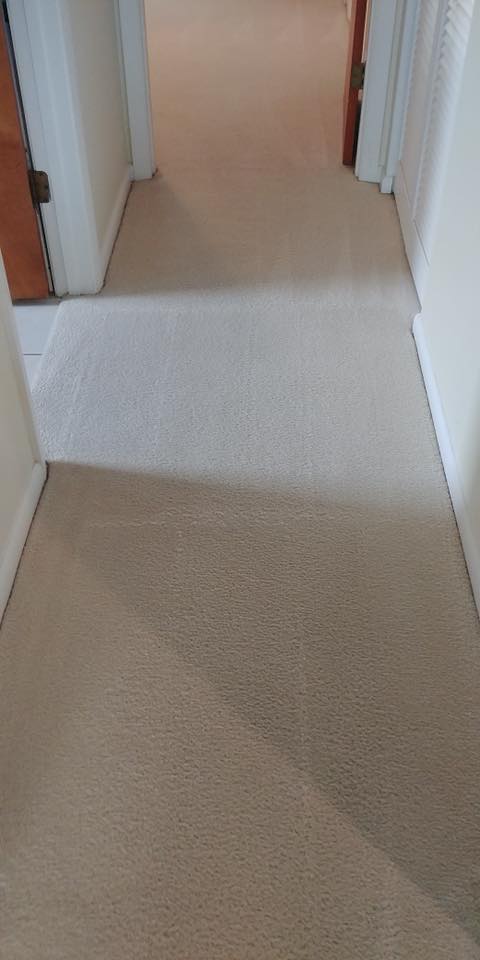 Cortez Florida Carpet Shampooing