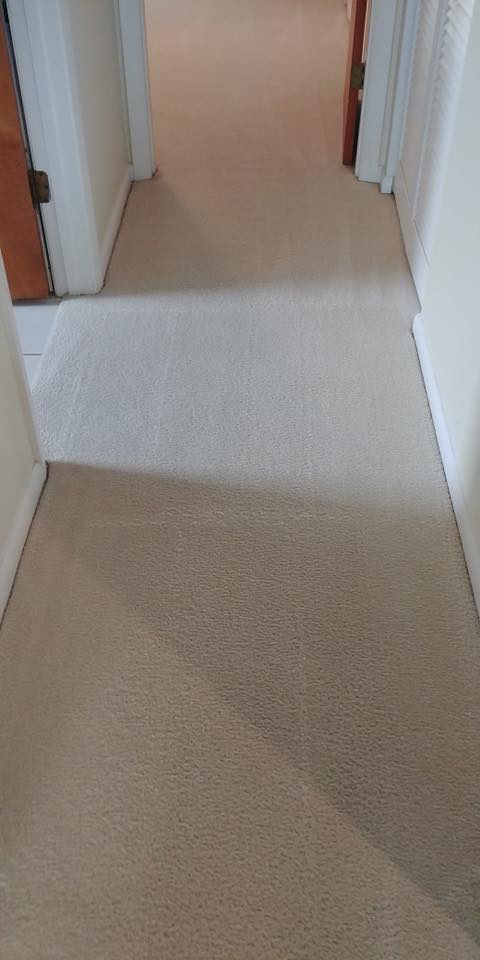 Ellenton Florida Carpet Cleaning