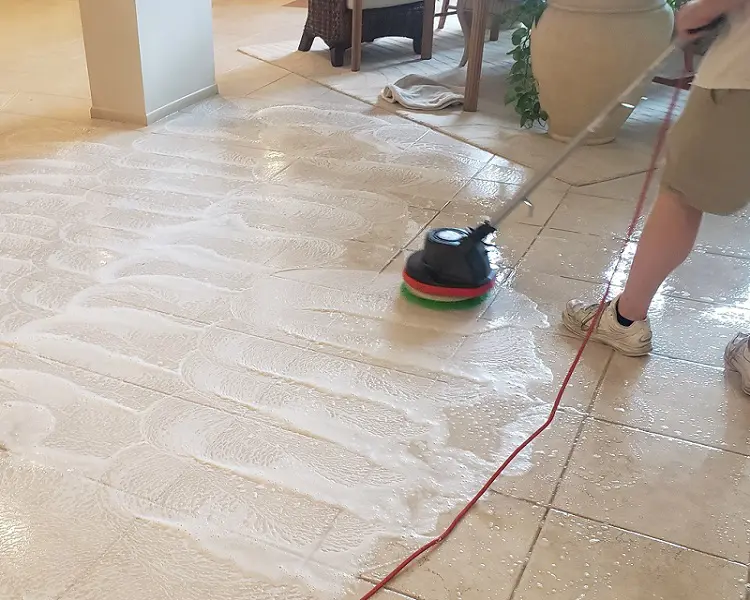 Rug Cleaning Plantation FL